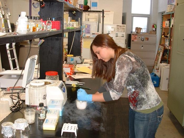 Student working in the lab